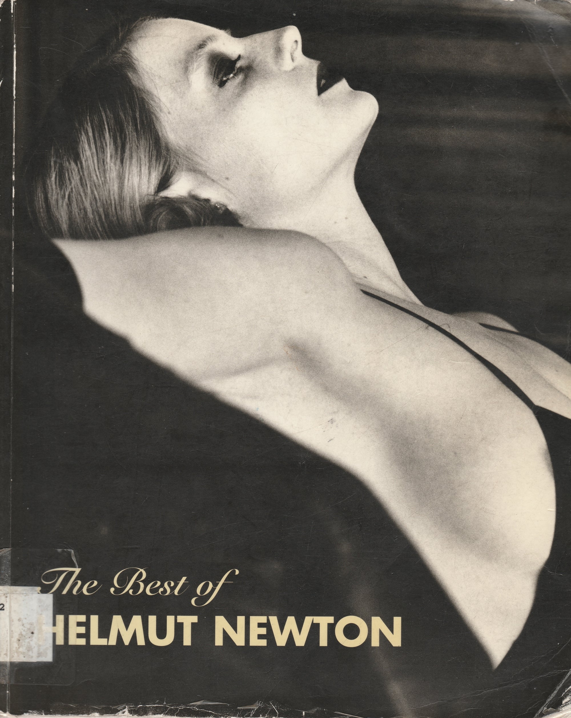 The Best of Helmut Newton by Zdenek Felix (2004)