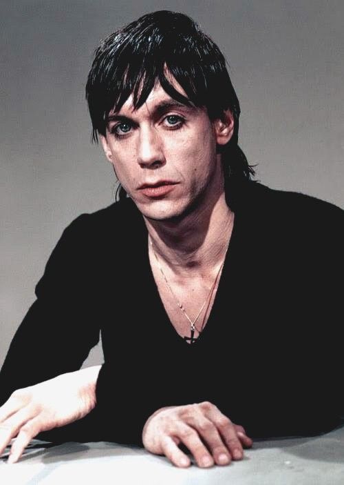 Iggy Pop: The Sonic Assault